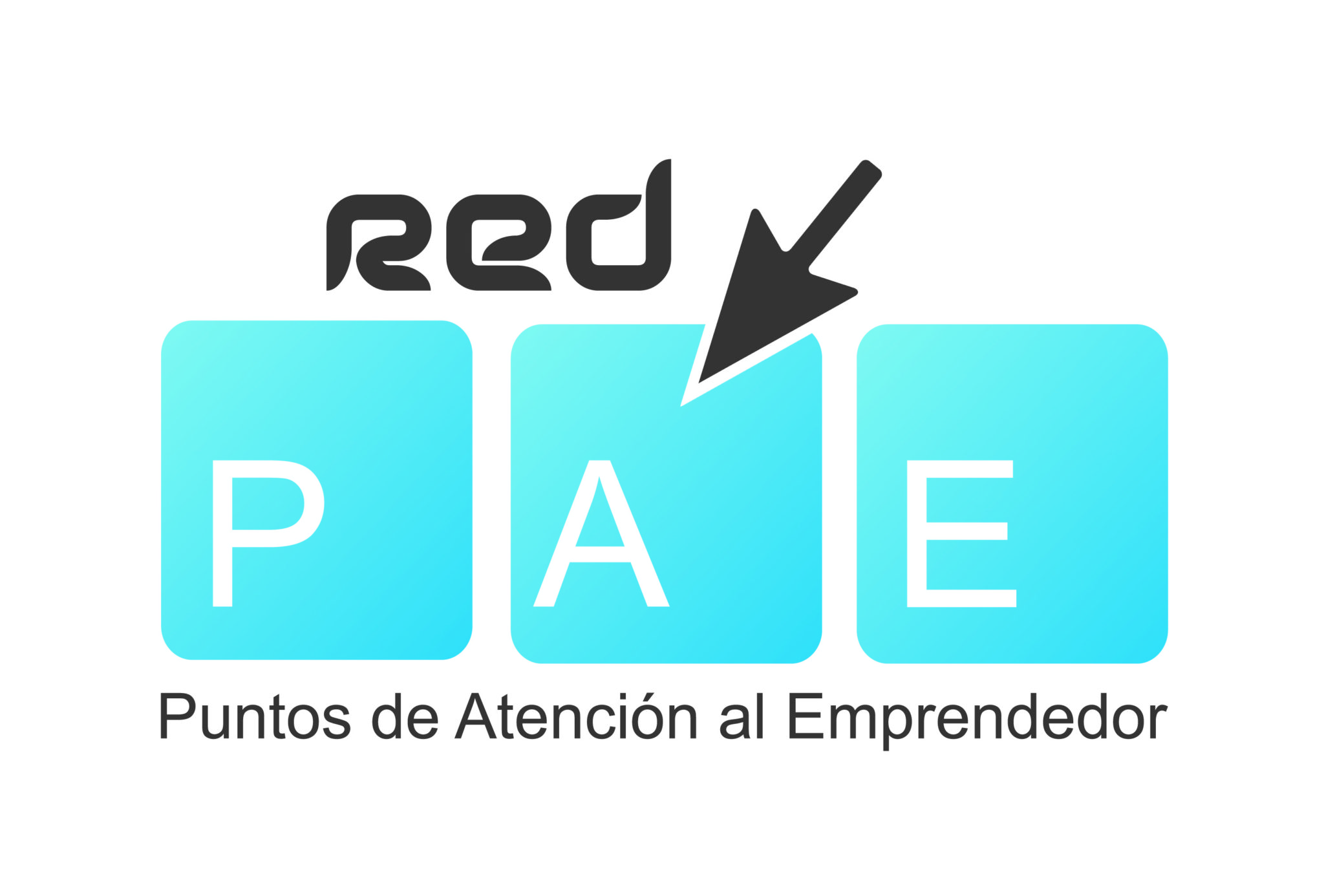 logo PAE